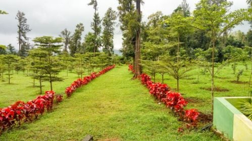 Araku Valley Padmapuram Botanical Gardens Landscape Image